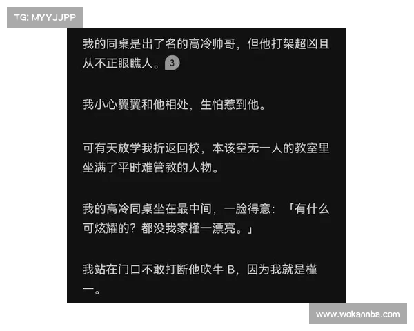 魅力小猫攻击中使用的小说后门 媒体